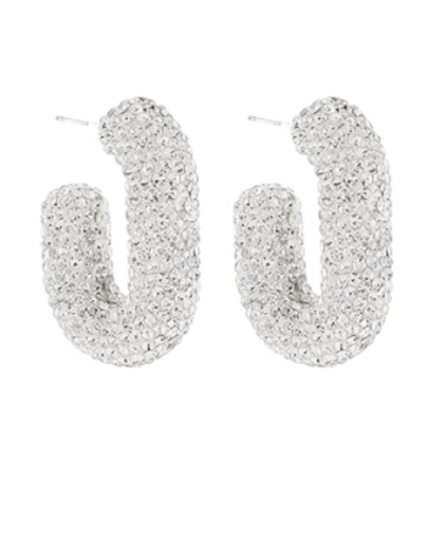 Silver Sparkle Hoops