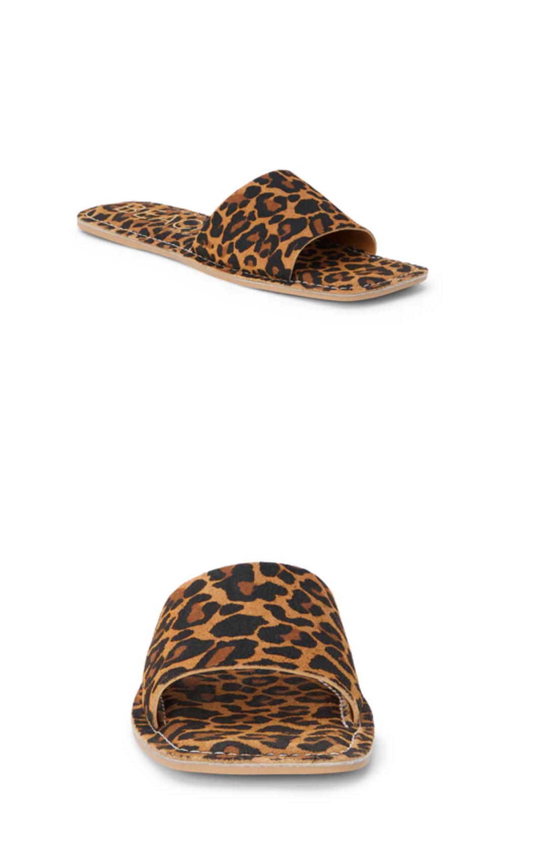 Bali Slide: Leopard