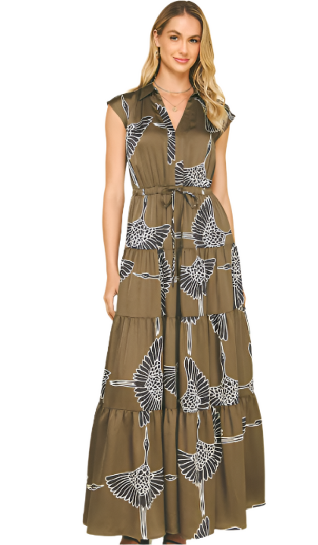 Good Fortune Dress