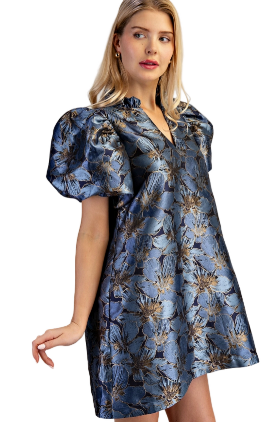 Midnight Garden Dress