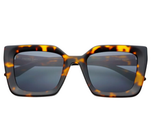 Load image into Gallery viewer, Freyrs Coco: Tort