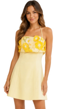 Load image into Gallery viewer, Daisy Festival Dress