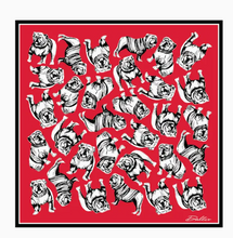 Load image into Gallery viewer, Sic Em' Scarf