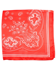 Load image into Gallery viewer, Red Silky Scarf
