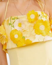 Load image into Gallery viewer, Daisy Festival Dress